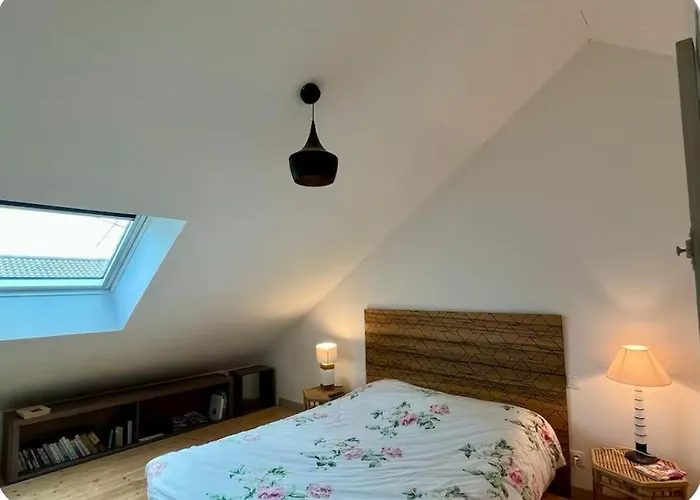 Maison Spacieuse Hyper Centre - 5a7p - Terrasse Privee Feriehus *