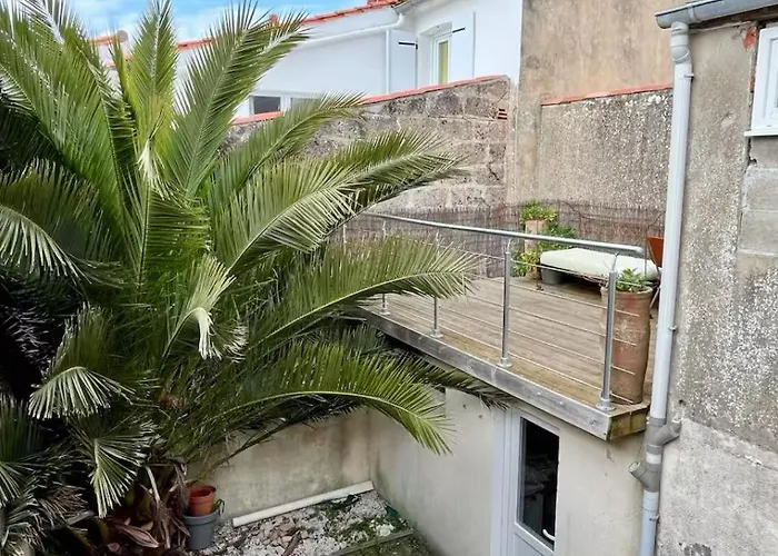 Maison Spacieuse Hyper Centre - 5a7p - Terrasse Privee בית נופש *